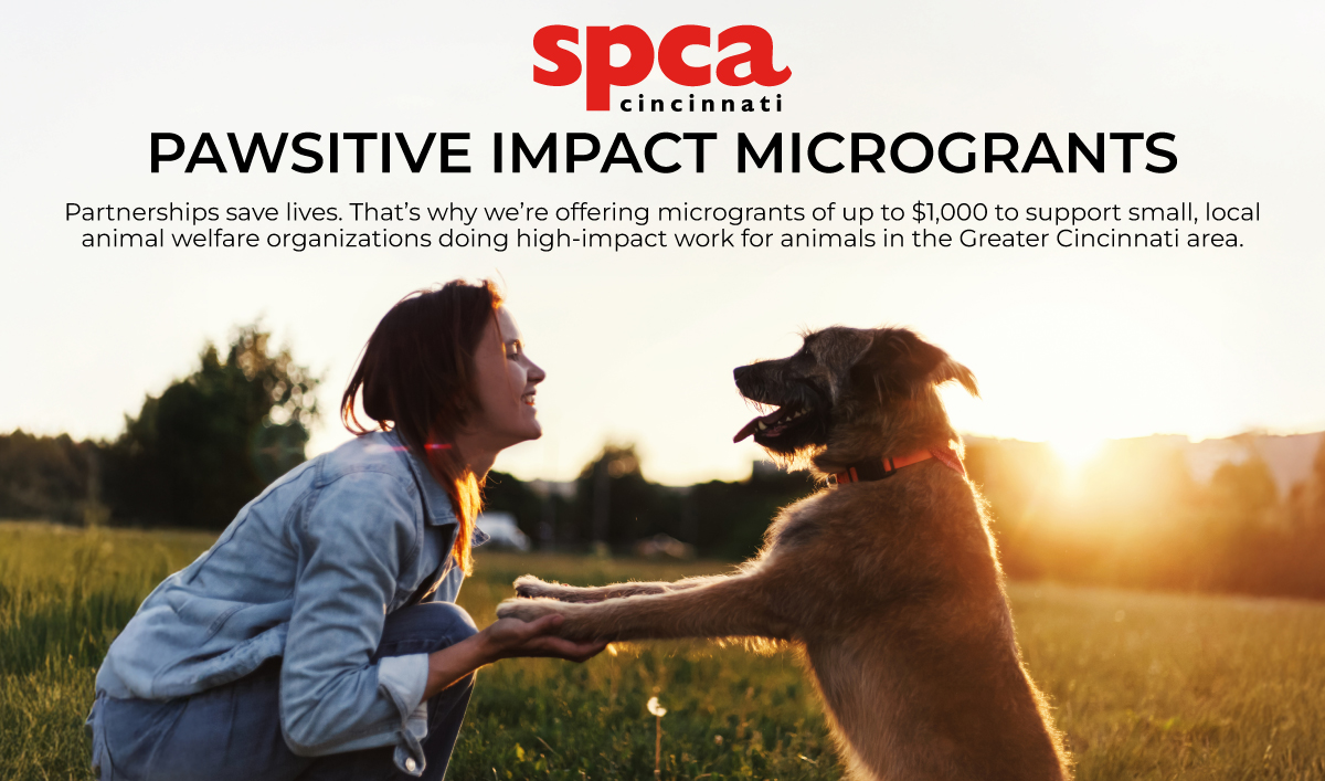 Pawsitive Impact Microgrants
