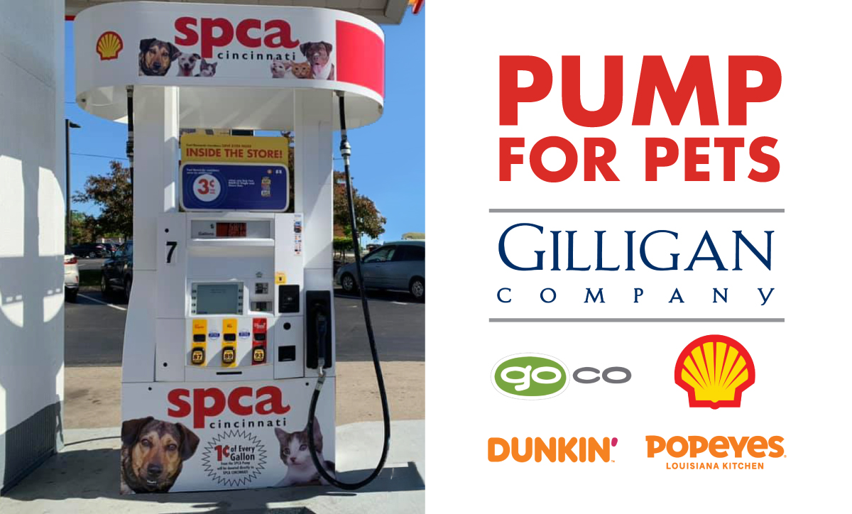 Pump for pets